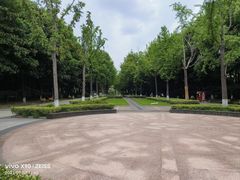 -苏州河梦清园环保主题公园