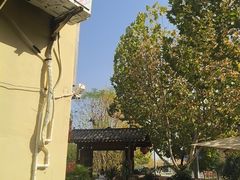 -后湖小院·乡野田园菜