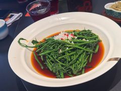 抽炝五指山野菜-红厨巷·淮扬菜(熙南里店)