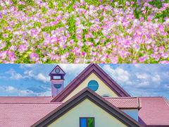 -歌斐颂巧克力小镇