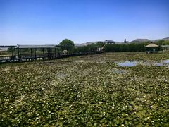 -处女泉风景名胜区