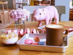 -WHEN PIGS FLY当猪飞