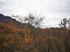 -沣峪口
