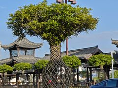 -扬州古运河