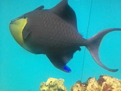 -北戴河圣蓝海洋公园