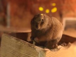 -酷嗒动物文化乐园(cutezoo西溪乐天城店)