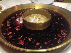 -杨家火锅(国美店)