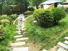 -Supine Bistro溯泮餐厅