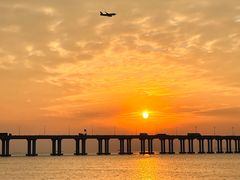 -宝安西湾红树林湿地公园