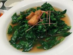 -金悦轩海鲜酒家(银河店)