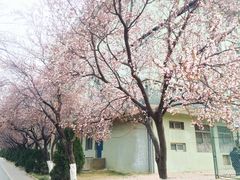 -山东师范大学(千佛山校区)