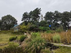 -铁山坪森林公园