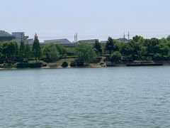 -羊山湖公园