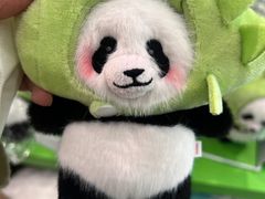 -杭州动物园