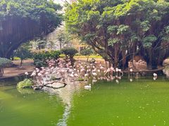 -九龙公园