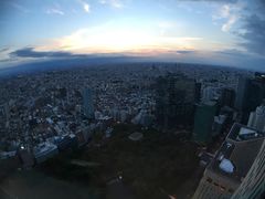 -东京都厅舍