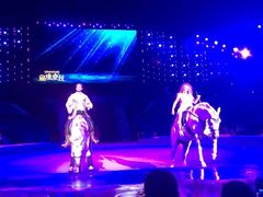 -珠海横琴长隆《卡卡虎奇遇记》