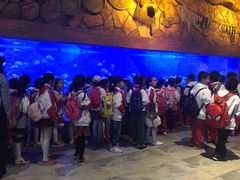 -华夏文旅海洋公园