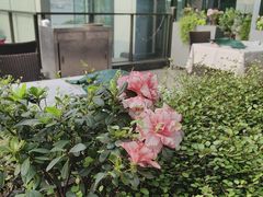 -渝信川菜(南滨店)
