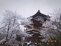 -西安青龙寺遗址景区