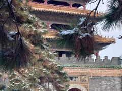 -北陵公园