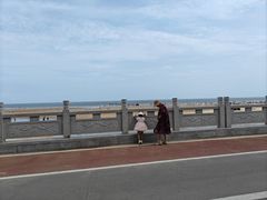 -日照海滨国家森林公园