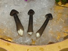 -老牌坊云南鱼豆花火锅(爱建店)