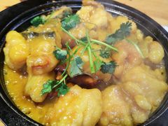 石锅咖喱鱼-春香鸡馆