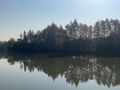 -影居starhoho·泳池别墅轰趴馆·瑶光