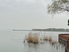 -东方绿舟景区