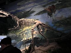 -自贡恐龙博物馆