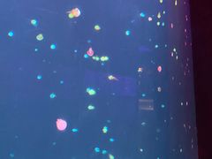 -南京金牛湖风景区