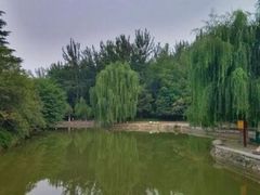 -西安市长乐公园