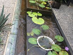 -云里小坐·小院里·团建·宴请·下午茶(三圣乡店)