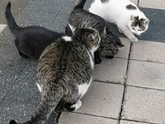 -天津市泰达医院