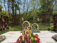 -上海共青森林公园