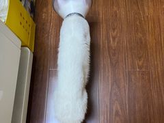 -艾贝尔宠物医院 ·中兽医·宠保定点(北门桥店)