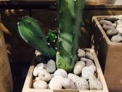 -Galleria百货店名品馆