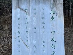 -北京鹫峰国家森林公园