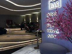 -万象影城(石家庄万象城IMAX激光店)