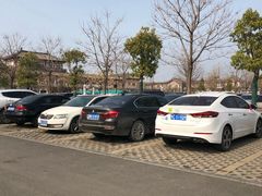 -龙门石窟-停车场