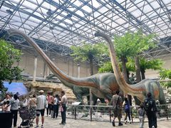 -国家自然博物馆