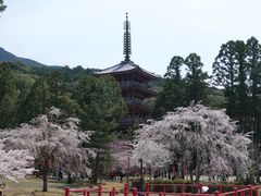 -醍醐寺