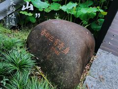 -陈家山荷花公园