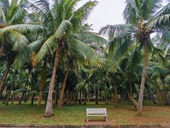 -白沙门生态公园