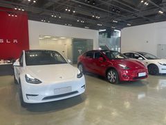 -TESLA 特斯拉(深圳观澜特斯拉直营钣喷中心)