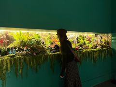 -凤凰徐州书城(淮海西路店)