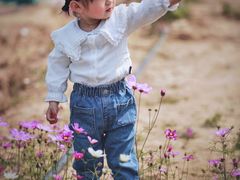 -南沙蒲洲花园