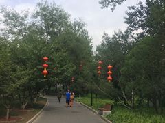 -丰台花园