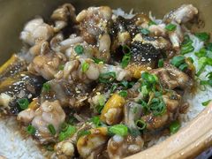 -红星光发煲仔饭(大石街店)